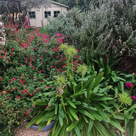 Villa Des Cigales-3